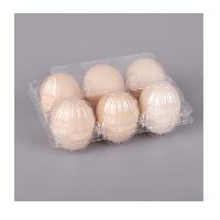 中盛 塑料鸡蛋样品盒(一次性)100个/包 6枚装 适用于50-58克蛋品  中盛 塑料鸡蛋样品盒(一次性)100个/包 6枚装 适用于50-58克蛋品