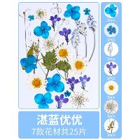 DIY押花混合干花包 湛蓝优优 干花包25片  DIY押花混合干花包 湛蓝优优 干花包25片