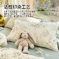 雅鹿·自由自在 枕头套一对装 学生宿舍家用枕头罩儿童枕套枕芯套48*74cm 春意  春意