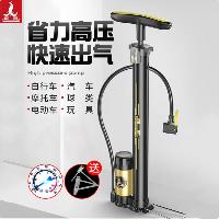 凤凰打气筒  凤凰打气筒