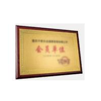 奖牌30*40cm 定制款  奖牌30*40cm 定制款
