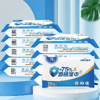 海氏海诺 消毒湿巾 便捷小包装 10片*10包装  海氏海诺 消毒湿巾 便捷小包装 10片*10包装